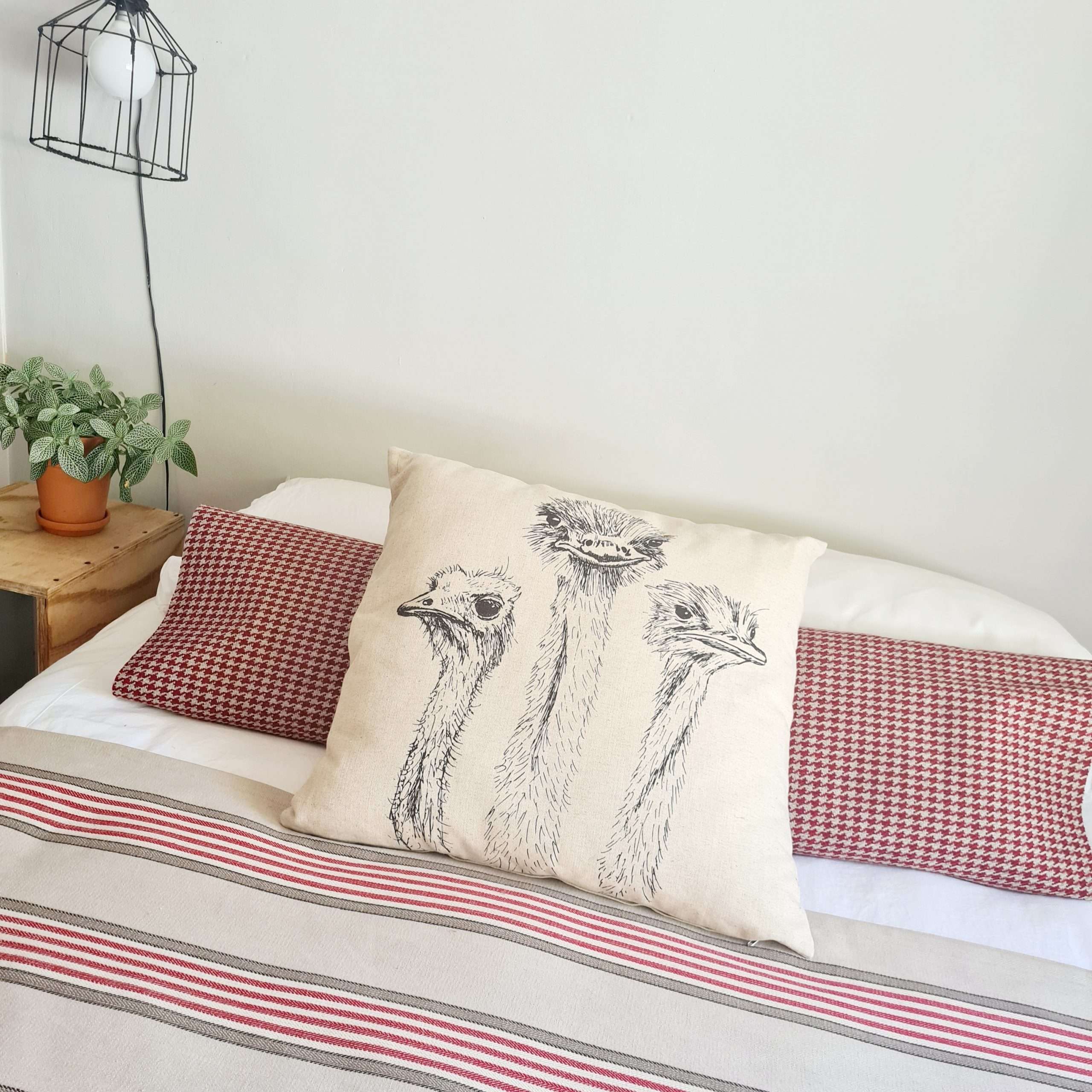Scatter cushion - Ostriches Scatter cushion - Ostriches - Image 4