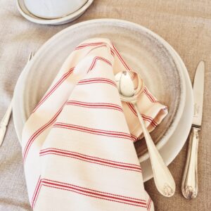 Cotton ticking serviettes - set of 4 VARIOUS COLOURS