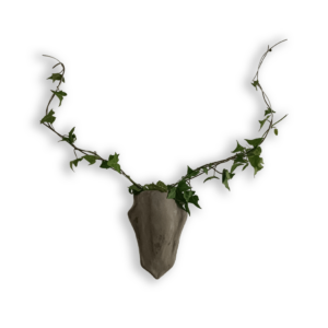 Botanical cement buck planter