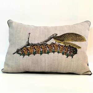 Mopani worm Scatter Cushion